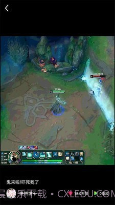 猫咪小视频截图2