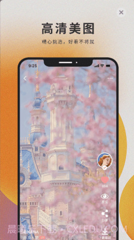 萌猫壁纸截图3 萌猫壁纸截图3