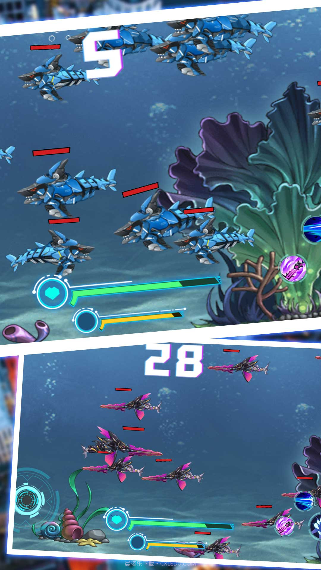 美味海洋进化2023截图1 美味海洋进化2023截图1