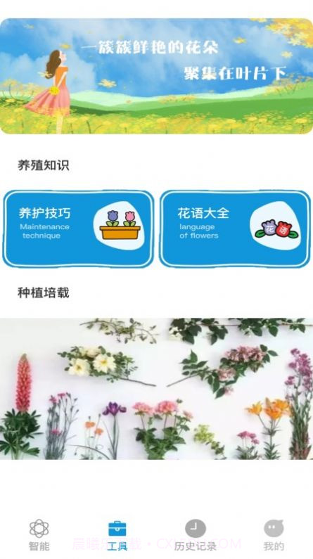 全能拍照识物截图3 全能拍照识物截图3