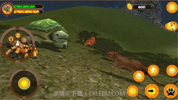 疯狂老鼠王截图3 疯狂老鼠王截图3