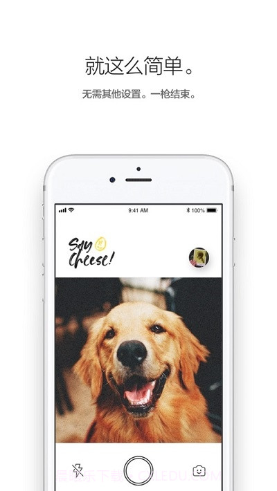 Low Polar拍立得截图2 Low Polar拍立得截图2