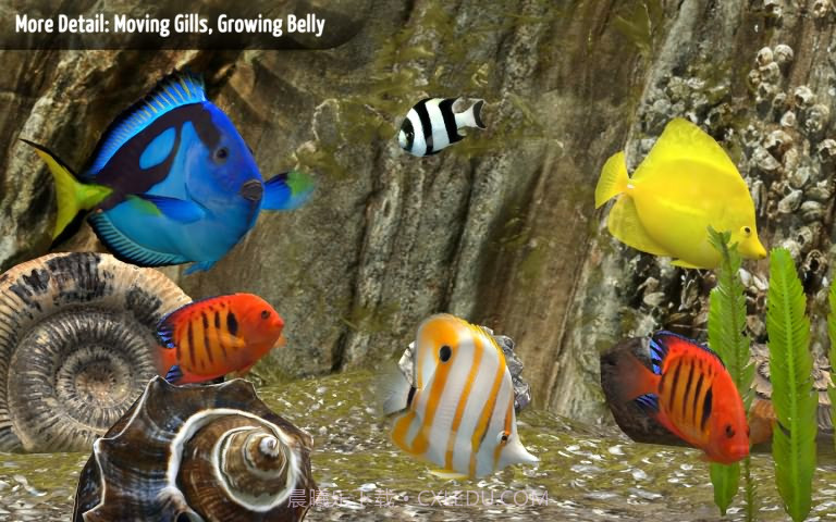 我的深海水族箱3D截图3 我的深海水族箱3D截图3