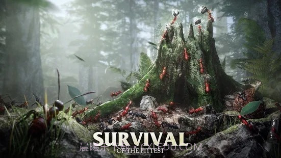 蚂蚁军团为了虫群截图1 蚂蚁军团为了虫群截图1