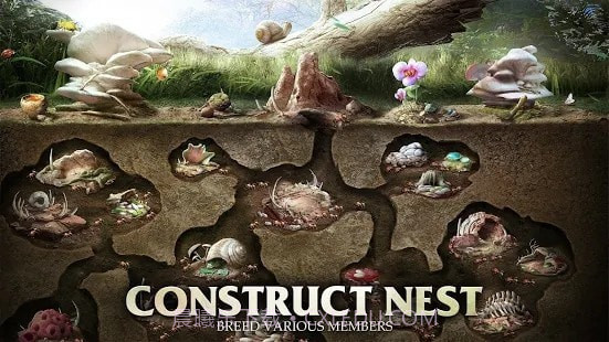 蚂蚁军团为了虫群截图3 蚂蚁军团为了虫群截图3