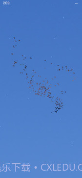 Flocc截图2 Flocc截图2