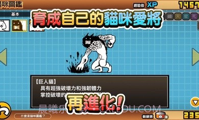 猫咪大战争11.2.1截图3