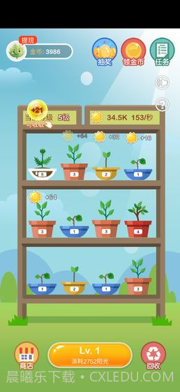 阳光金币屋正版截图4