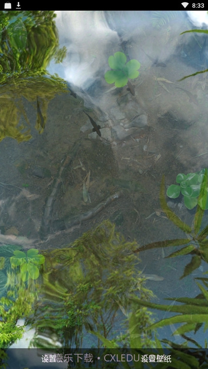 锦鲤鱼池3D动态壁纸（鱼池）截图1