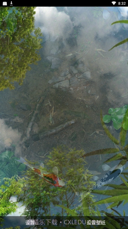 锦鲤鱼池3D动态壁纸（鱼池）截图3