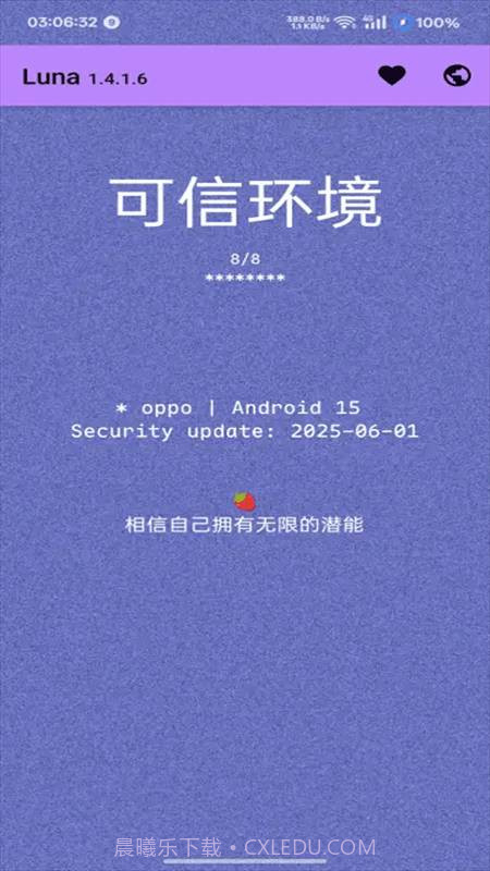 Luna环境检测工具全新版本截图3